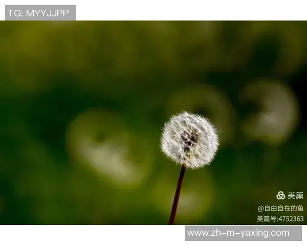 佑树vs探索生命的奥秘与自然的和谐共生之道