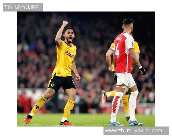 埃弗顿主场迎战狼队争夺英超宝贵积分激战即将上演